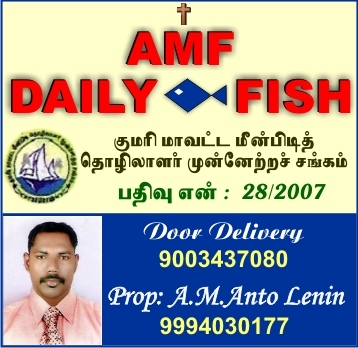 AMF%20DAILY%20FISH