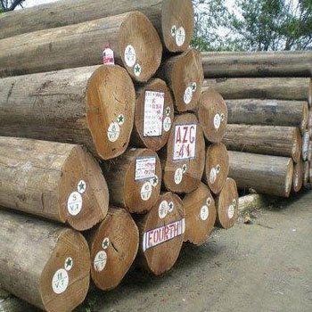 R.T.N.SEKAR%20TIMBERS