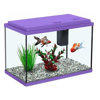 AMAZON%20AQUARIUM%20%26%20PETS