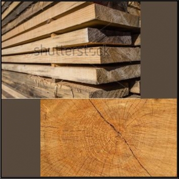 ELIZABETH%20SAW%20MILL