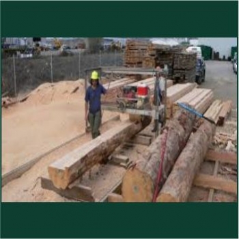 ELIZABETH%20SAW%20MILL