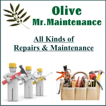 OLIVE PROJECTS