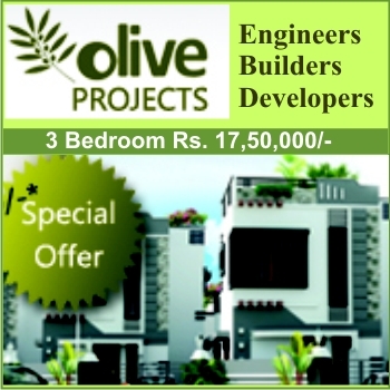 OLIVE PROJECTS