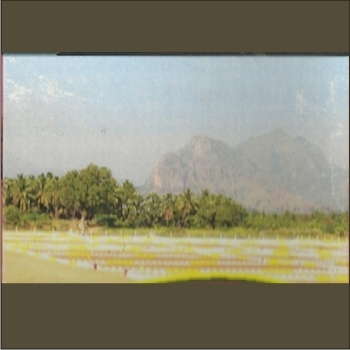 SREE%20KRISHNA%20FOUNDATION