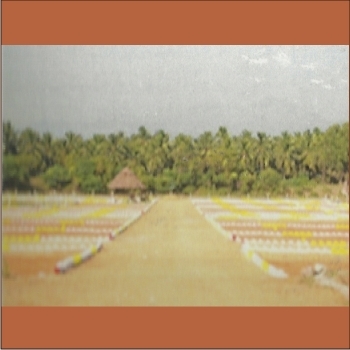 SREE%20KRISHNA%20FOUNDATION