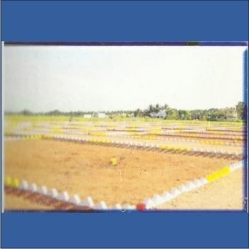 SREE%20KRISHNA%20FOUNDATION