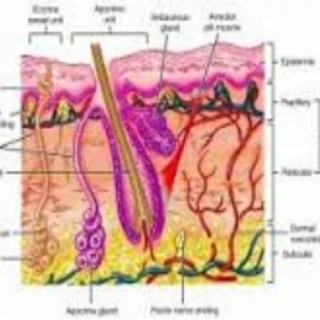 PRAVIN%20SKIN%2C%20LASER%20%26%20COSMETIC%20CENTRE