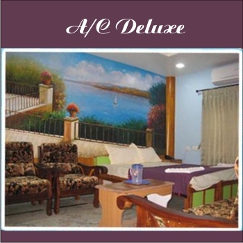 HOTEL VLR INN